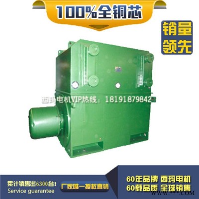 西安西玛电机高压电机YRKS8002-10 2240KW 6KV IP54绕线型电机