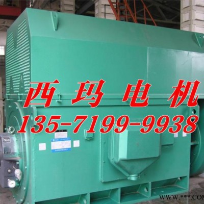 Y系列高压电机Y4502-6 280KW 西安泰富西玛电机